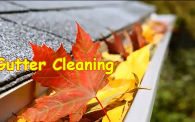 Rain Gutter Cleaning Denver Tips