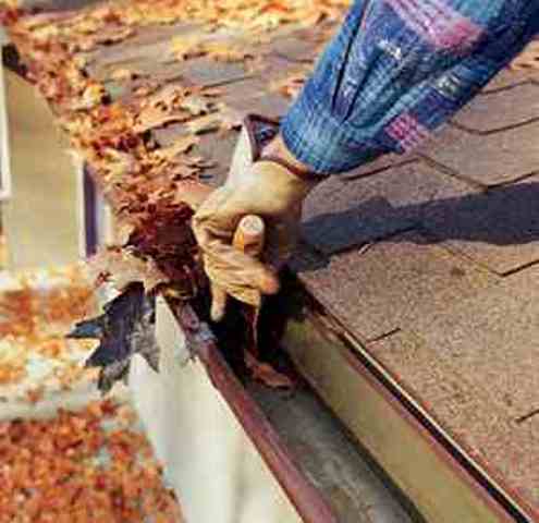 Gutter Cleaning