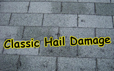 Signs of hail damage or wind damage on your roof