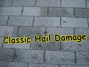 Hail Damage