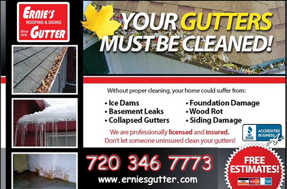 Clean your Gutter 2012