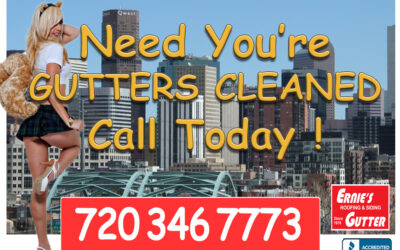 Commercial Rain Gutter Cleaning