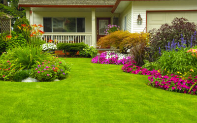 How To Choose The Perfect Roof Contractor
