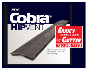 Cobra Hip Vent