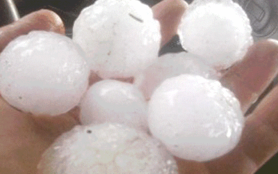 Do You Have Hail Damages?