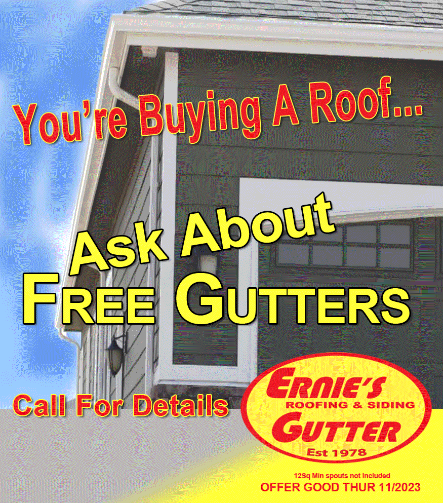 Free Gutters 