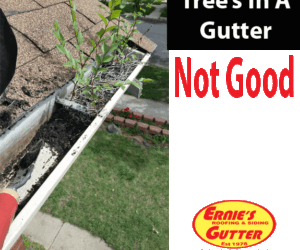 Rain Gutter Maintenance Lakewood
