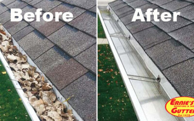 Rain Gutter Cleaning Hints