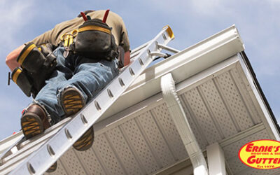 Expert Tips for Optimal Rain Gutter Drainage