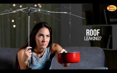 Leaking Roofs and Walls Whats Next