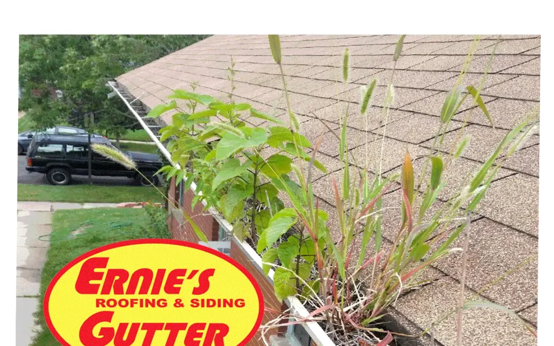 Rain Gutter Maintenance & Repair