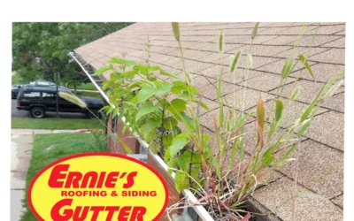 Rain Gutter Maintenance & Repair