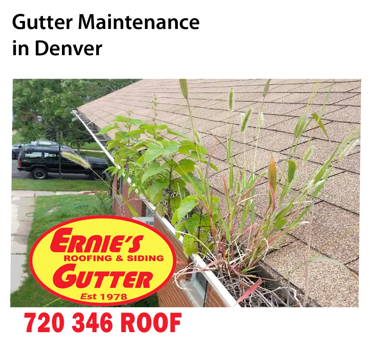 Gutter-Maintenance