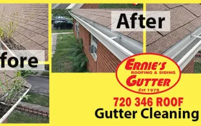 Gutter Cleaning in Denver