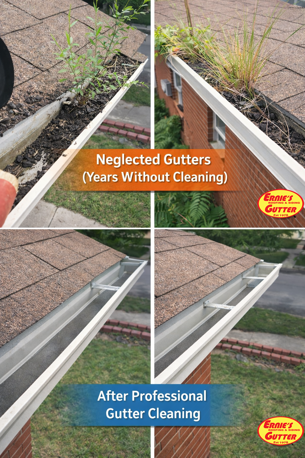 Gutter Cleaning gutter-Cleaning