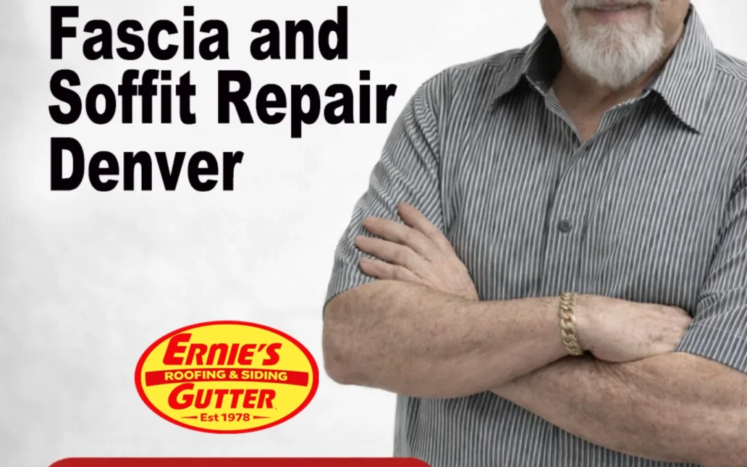 Fascia and Soffit Repair Denver