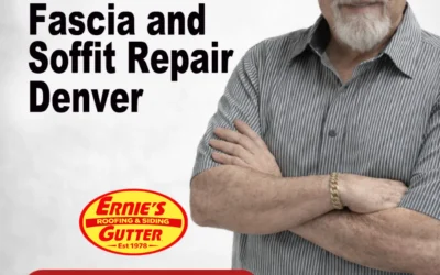 Fascia and Soffit Repair Denver