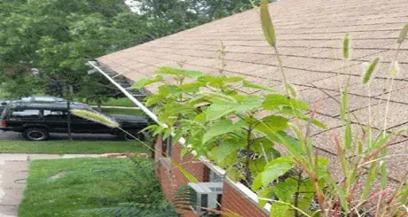 gutter-cleaning-denver