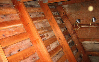 Getting to Know Attic Ventilation